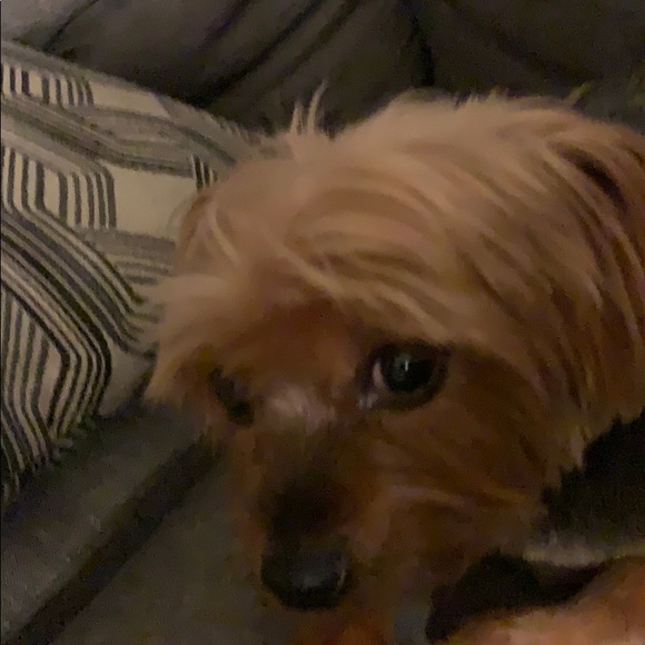 Meet your Posher, Aw - Picture 1 of 1